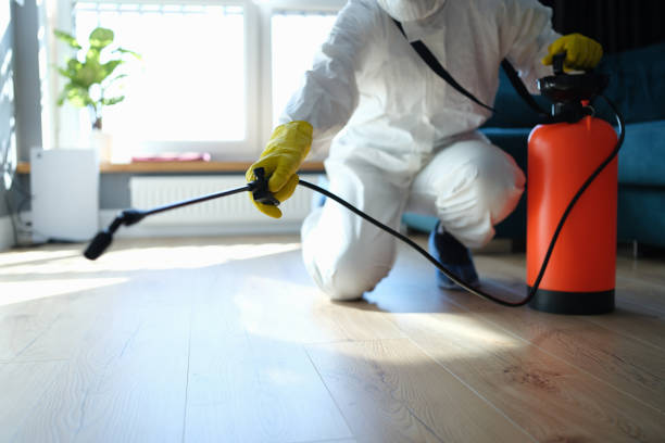 Trusted Sewage Cleanup service in Quincy, IL - Four Month Blood Cleanse
